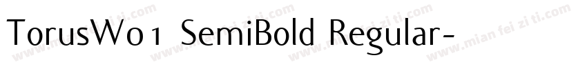 TorusW01 SemiBold Regular字体转换